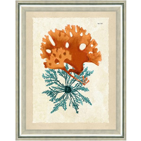 Teal and Orange Seaweed III  Framed Graphic Art Print MRM1730 Sale - Image 2