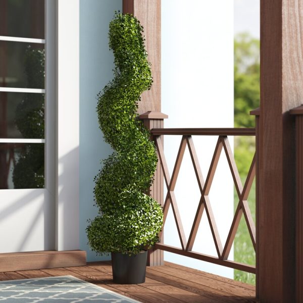 Boxwood Topiary in Pot MRM1580 Discount
