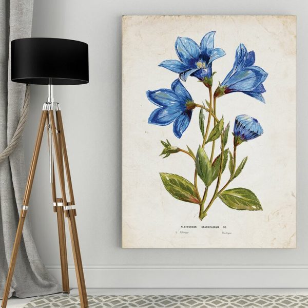 Premium  Botanical II  by Nan Painting Print on Wrapped Canvas GL1642 Fashion